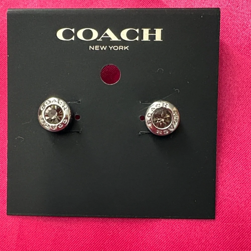 Coach Silver and Brown Earrings - Picture 1 of 10